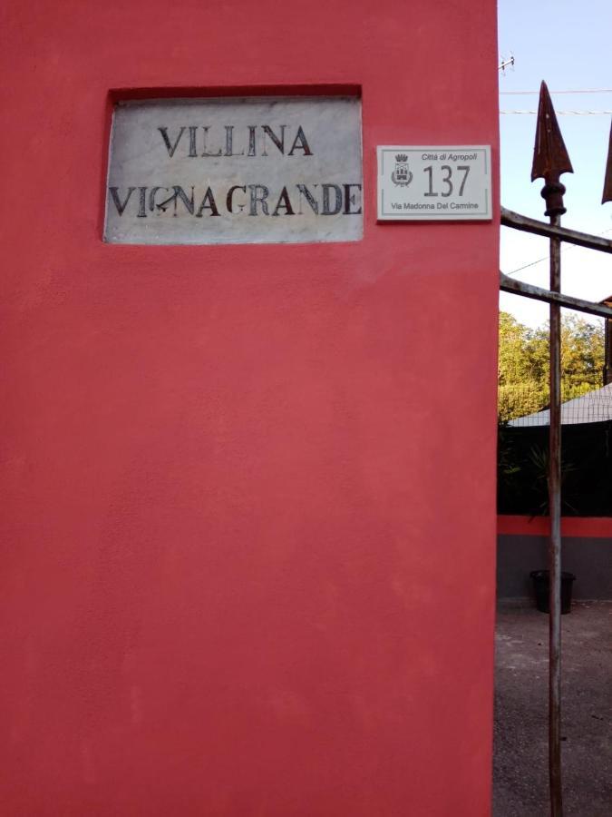 B&B Vigna Grande อากรอโปลี ภายนอก รูปภาพ